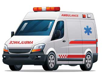 Ambulance and Fire Vehicle